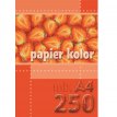 Papier ksero Kreska A4 80g mix 5 kolorów 250 arkuszy