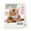 Kalendarz biurkowy Mini Kotki Narcissus 2022 rok